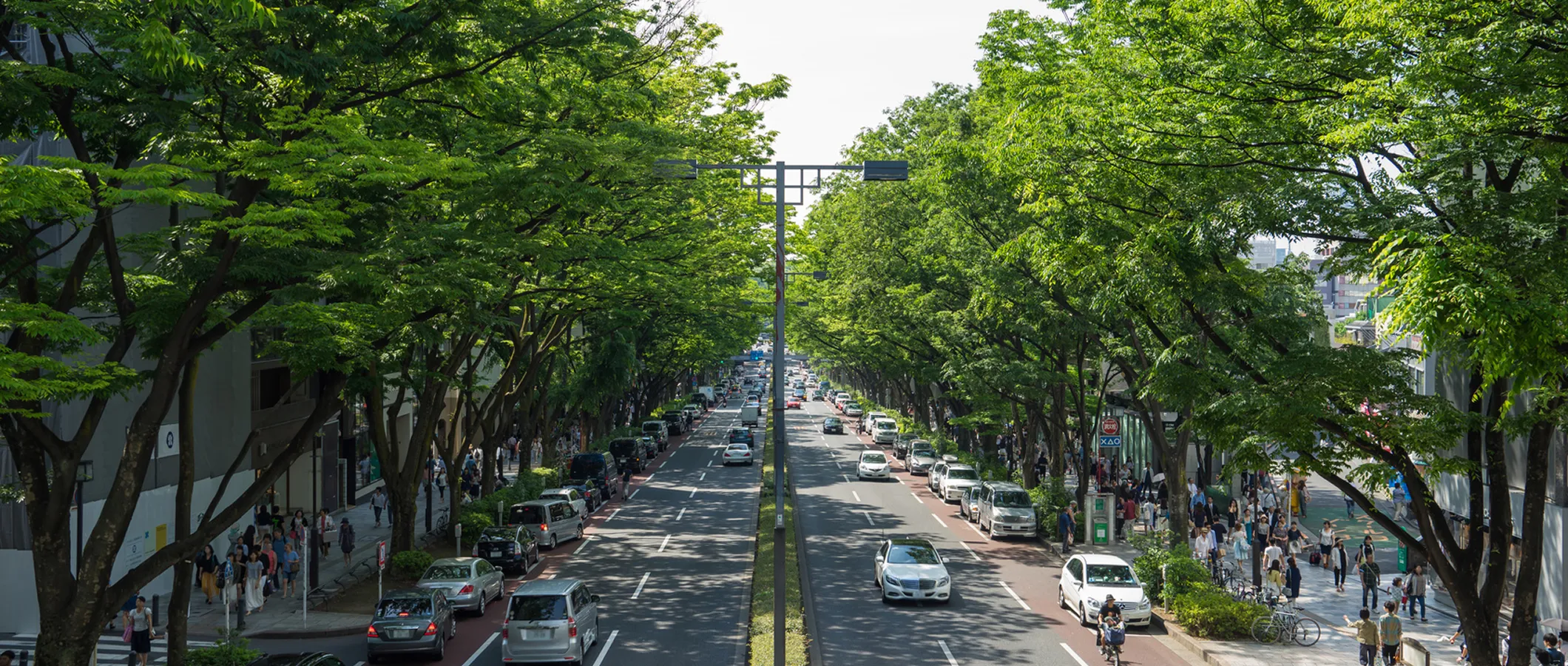 インフォメーション